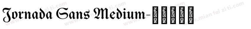 Jornada Sans Medium字体转换